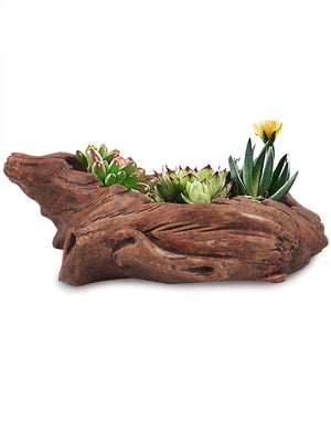  Driftwood Log Concrete Succulent Pot | Plant Pot Bonsai | Dahlia
