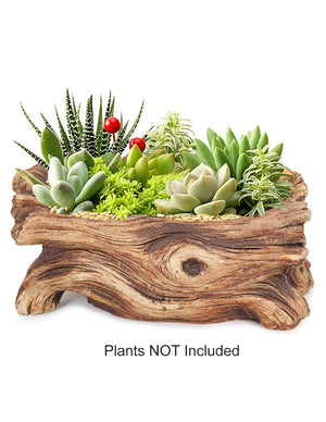  Driftwood Log Concrete Succulent Pot | Plant Pot Bonsai | Dahlia