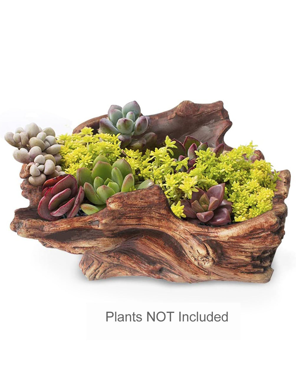 log plant pot Driftwood Log Concrete Succulent Pot | Bonsai Planter
