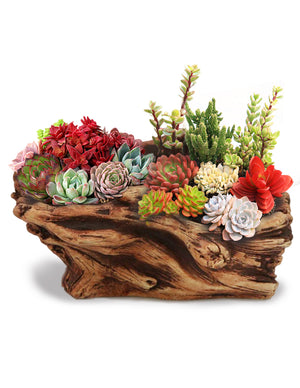 driftwood plant pot Driftwood Log Concrete Succulent Pot | Bonsai Planter