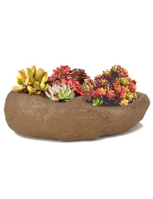  Stone Like Concrete Succulent Planter | Plant Pot | Dahlia