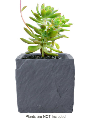  Cement Cube Concrete Succulent Planter | Plant Pot Bonsai | Dahlia