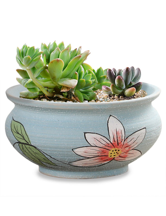 Lotus In Bloom Ceramic Succulent Planter | Plant Pot | Dahlia