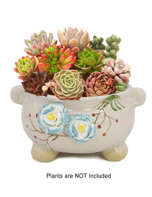  Hand Carved Ceramic Succulent Planter Flower | Plant Pot Bonsai | Dahlia