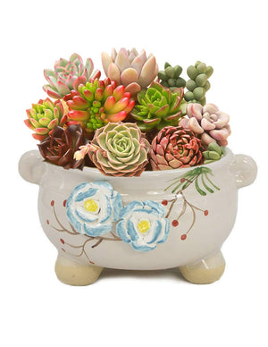  Hand Carved Ceramic Succulent Planter Flower | Plant Pot Bonsai | Dahlia
