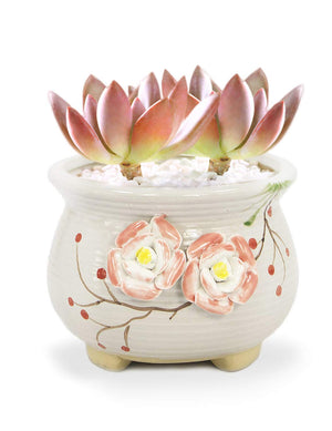  Hand Carved Ceramic Succulent Planter Flower | Plant Pot Bonsai | Dahlia