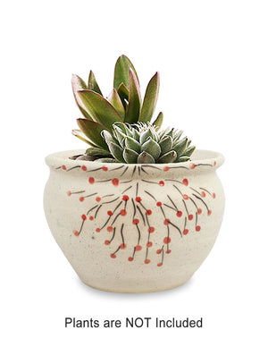  Berry Branches Hand Painted Ceramic Succulent Planter | Plant Pot Bonsai | Dahlia