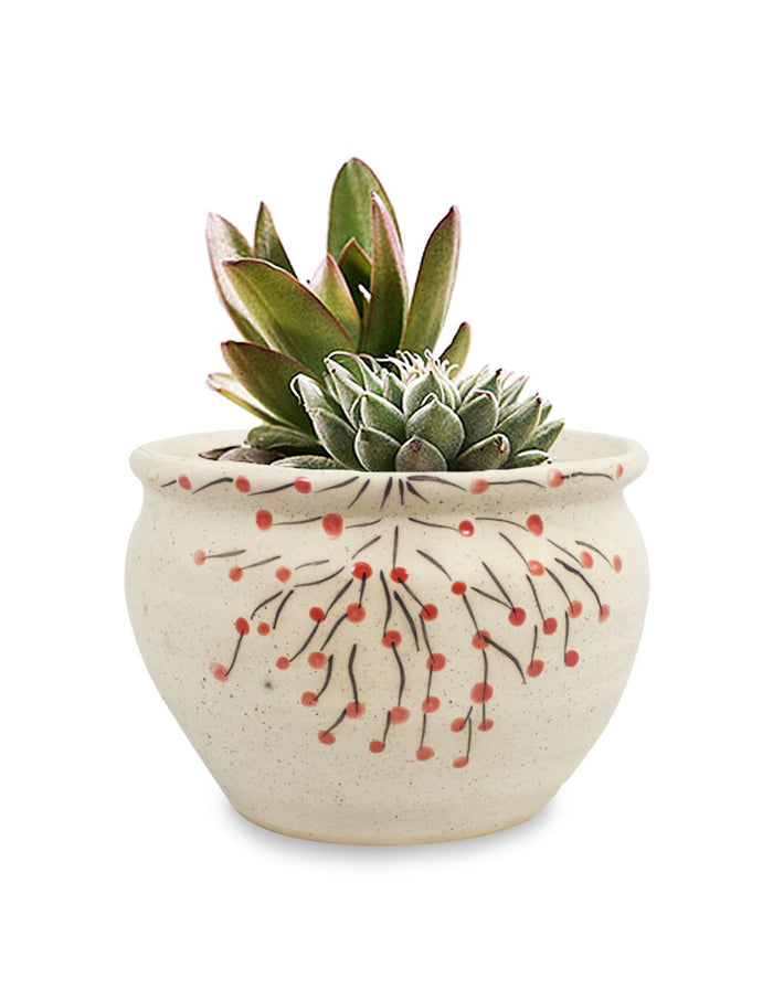 Berry Branches Hand Painted Ceramic Succulent Planter | Plant Pot | Dahlia