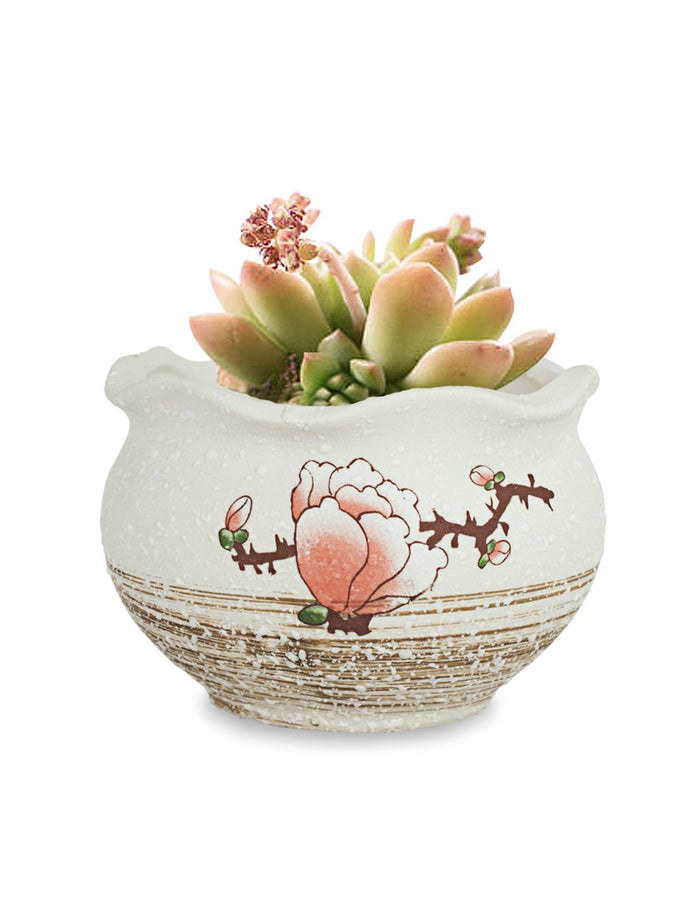 Plum Blossom Hand Painted Ceramic Succulent Planter | Plant Pot | Dahlia