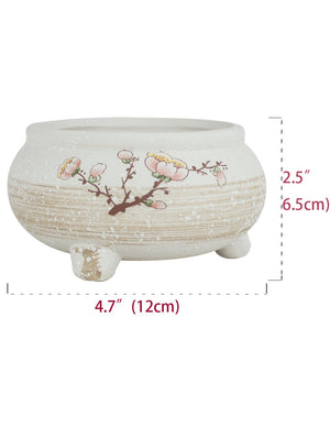  Plum Blossom Hand Painted Ceramic Succulent Planter | Plant Pot | Dahlia