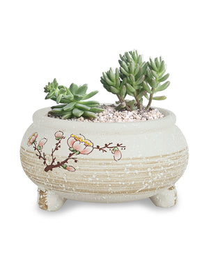  Plum Blossom Hand Painted Ceramic Succulent Planter | Plant Pot | Dahlia