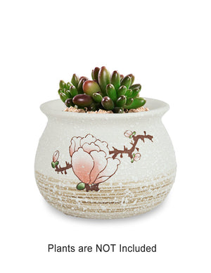  Plum Blossom Hand Painted Ceramic Succulent Planter | Plant Pot | Dahlia