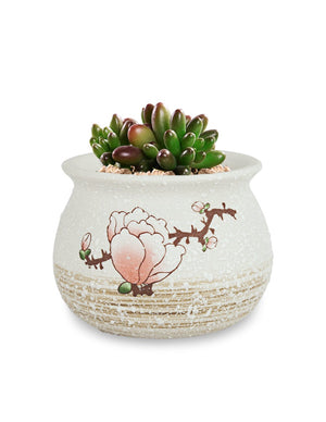  Plum Blossom Hand Painted Ceramic Succulent Planter | Plant Pot | Dahlia