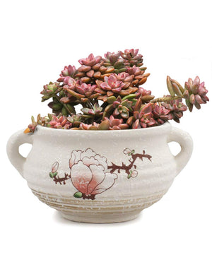  Plum Blossom Hand Painted Ceramic Succulent Planter | Plant Pot | Dahlia