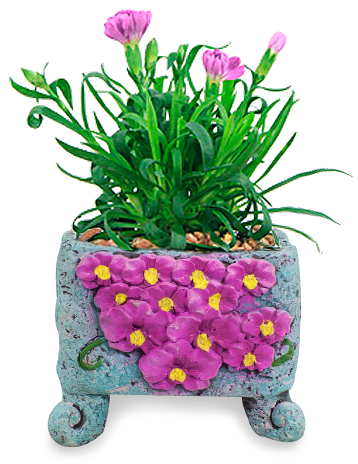 Clawfoot Orchid Cluster Concrete Succulent Planter | Plant Pot | Dahlia