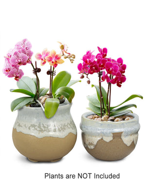  Set of 2 Vintage Glazed Ceramic Succulent Planter | Plant Pot | Dahlia