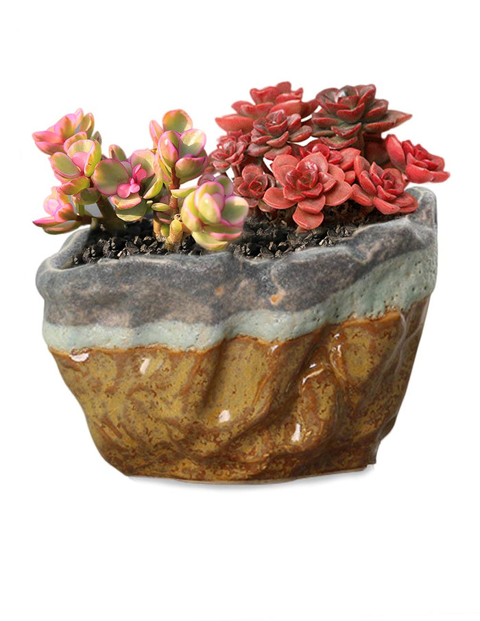 Vintage Glazed Layer Ceramic Succulent Pot | Planter | Dahlia
