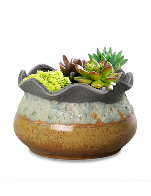  Vintage Glazed Layer Ceramic Succulent Pot | Plant Pot Bonsai | Dahlia
