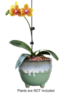  Rustic Glazed Ceramic Succulent Pot | Plant Pot Bonsai | Dahlia