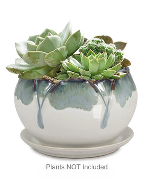  Rustic Glazed Ceramic Succulent Pot | Plant Pot Bonsai | Dahlia