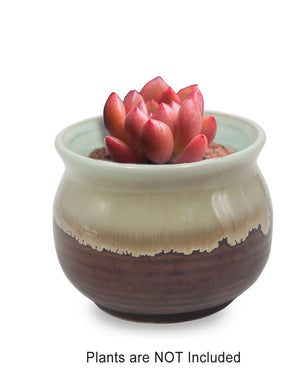  Rustic Glazed Ceramic Succulent Pot | Plant Pot Bonsai | Dahlia