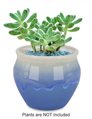  Rustic Glazed Ceramic Succulent Pot | Plant Pot Bonsai | Dahlia