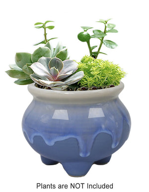  Rustic Glazed Ceramic Succulent Pot | Plant Pot Bonsai | Dahlia