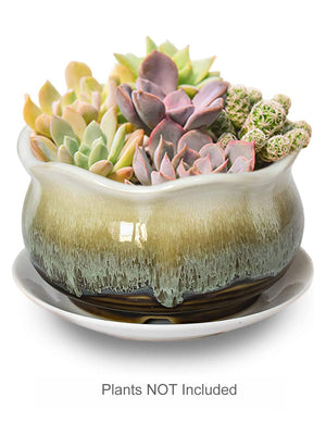  Rustic Glazed Ceramic Succulent Pot | Plant Pot Bonsai | Dahlia