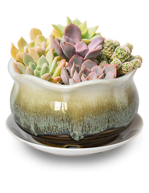  Rustic Glazed Ceramic Succulent Pot | Plant Pot Bonsai | Dahlia