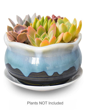  Rustic Glazed Ceramic Succulent Pot | Plant Pot Bonsai | Dahlia