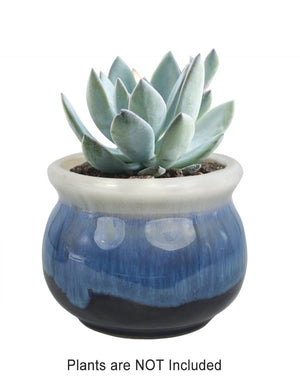  Rustic Glazed Ceramic Succulent Pot | Plant Pot Bonsai | Dahlia