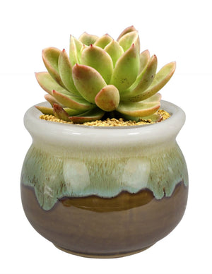  Rustic Glazed Ceramic Succulent Pot | Plant Pot Bonsai | Dahlia