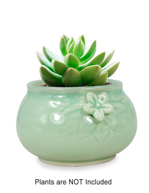 Celadon Glaze Porcelain Succulent Planter | Plant Pot | Dahlia