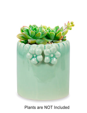 Celadon Glaze Porcelain Succulent Planter | Plant Pot | Dahlia