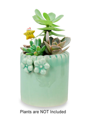 Celadon Glaze Porcelain Succulent Planter | Plant Pot | Dahlia