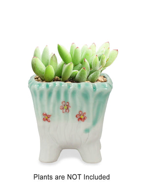 Celedon Glaze Porcelain Plant Pot | Planter Plant Saucer | Dahlia