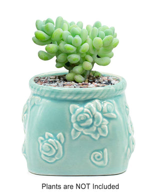 Celadon Glaze Porcelain Succulent Planter | Plant Pot | Dahlia