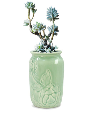 Celadon Glaze Porcelain Succulent Planter | Plant Pot | Dahlia