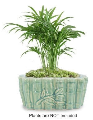 Celadon Glaze Porcelain Succulent Planter | Plant Pot | Dahlia