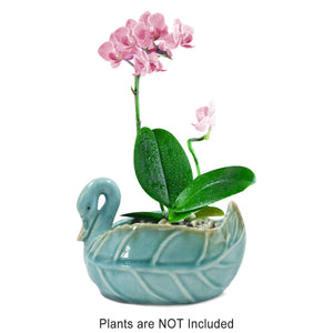  Swan Ceramic Succulent Pot |Plant Pot Bonsai | Dahlia