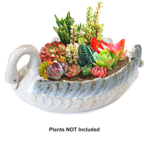  Decorative Swan Ceramic Succulent Planter | Plant Pot Bonsai | Dahlia