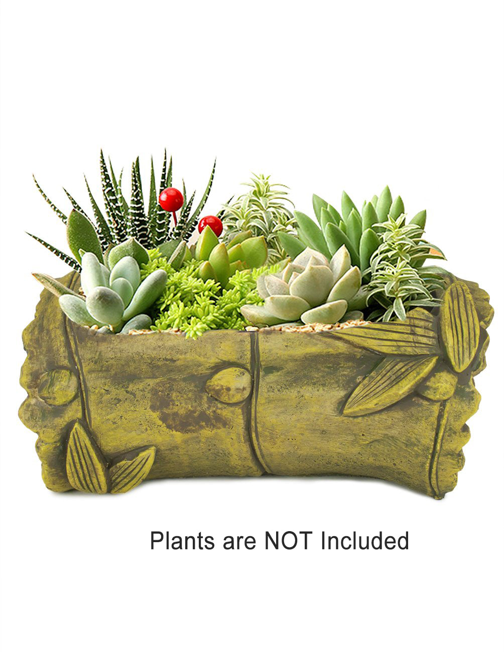 bamboo succulent planter Vintage Bamboo Concrete Succulent Planter | Plant Pot
