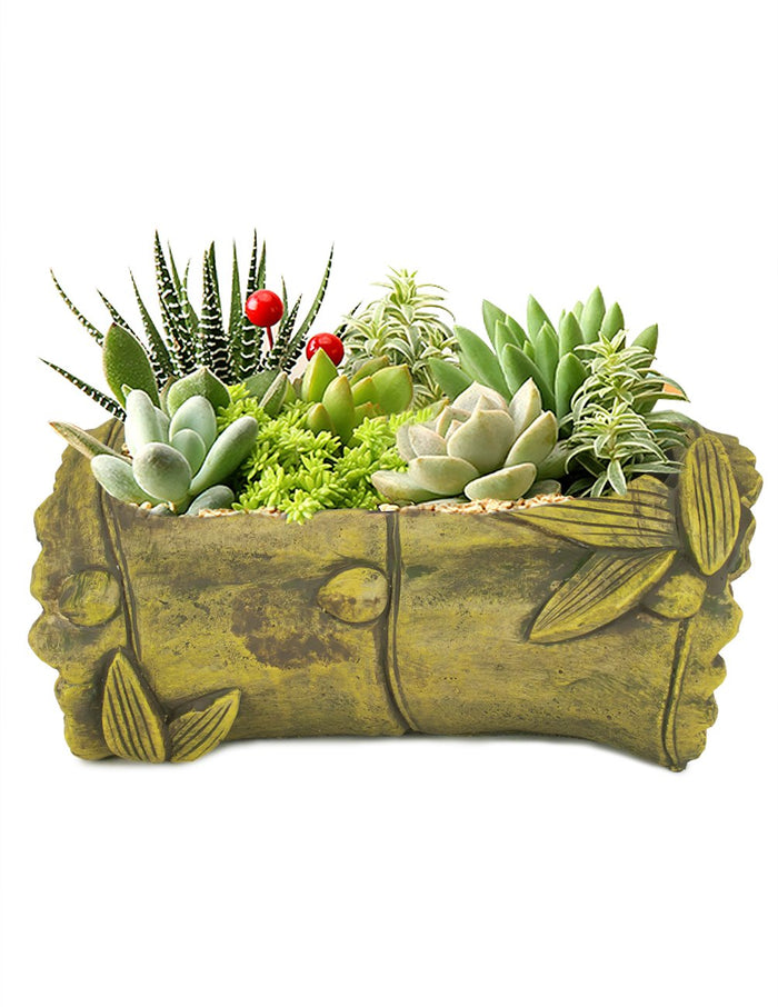 Vintage Bamboo Hand Carved Concrete Succulent Planter | Plant Pot | Dahlia