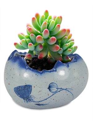  Blue and White Mini Lotus Ceramic Succulent Planter | Plant Pot Bonsai | Dahlia