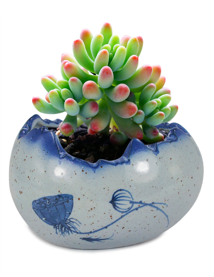 Blue and White Mini Lotus Ceramic Succulent Planter | Plant Pot | Dahlia
