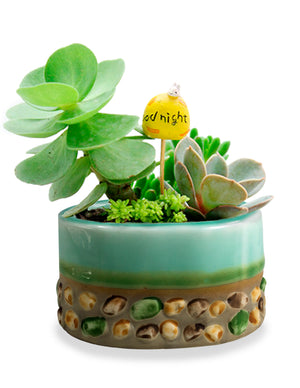  Paint Drip Glazed Ceramic Succulent Planter w Inlaid Stone | Plant Pot | Dahlia