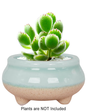  Mini Claw Foot Drip Glazed Ceramic Succulent Planter | Plant Pot Bonsai | Dahlia