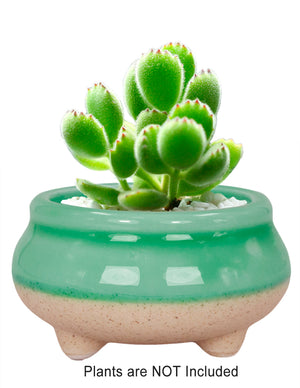  Mini Claw Foot Drip Glazed Ceramic Succulent Planter | Plant Pot Bonsai | Dahlia