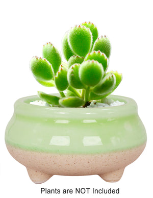  Mini Claw Foot Drip Glazed Ceramic Succulent Planter | Plant Pot Bonsai | Dahlia