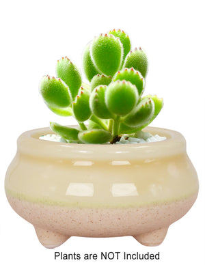  Mini Claw Foot Drip Glazed Ceramic Succulent Planter | Plant Pot Bonsai | Dahlia